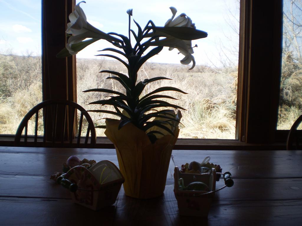 Silver River Adobe Inn Bed And Breakfast Фармінґтон Екстер'єр фото