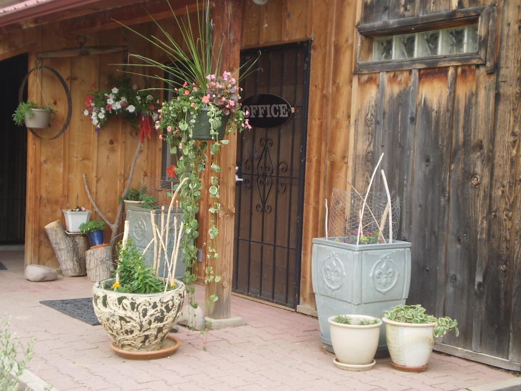 Silver River Adobe Inn Bed And Breakfast Фармінґтон Екстер'єр фото